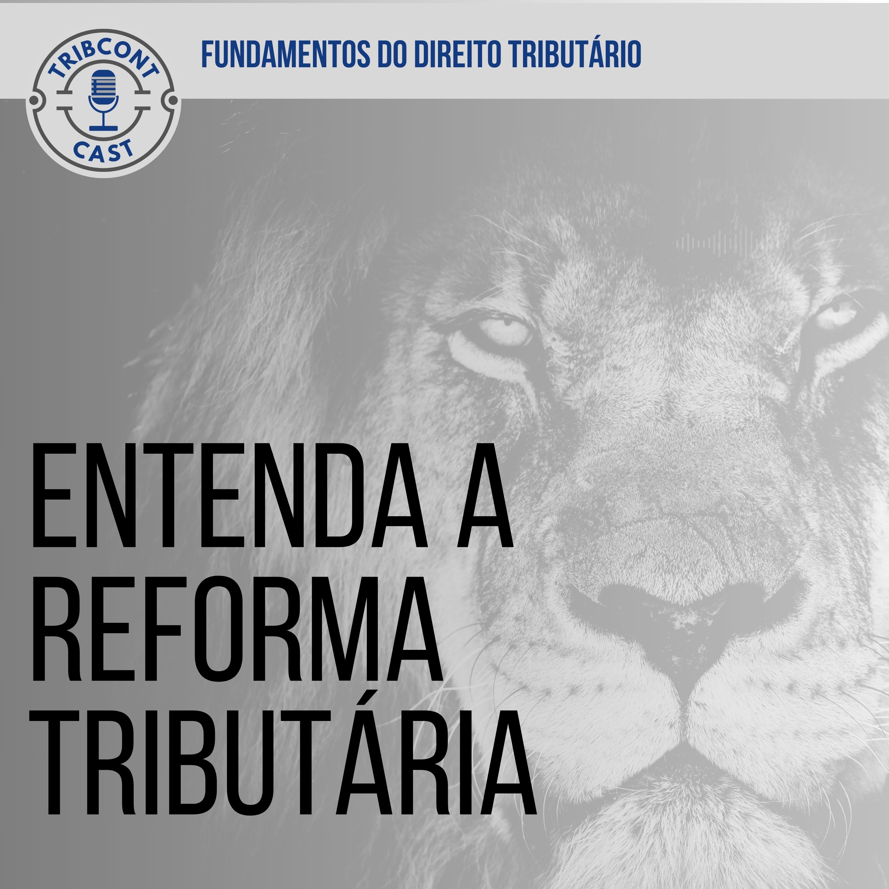 Entenda reforma tributária 2.jpg