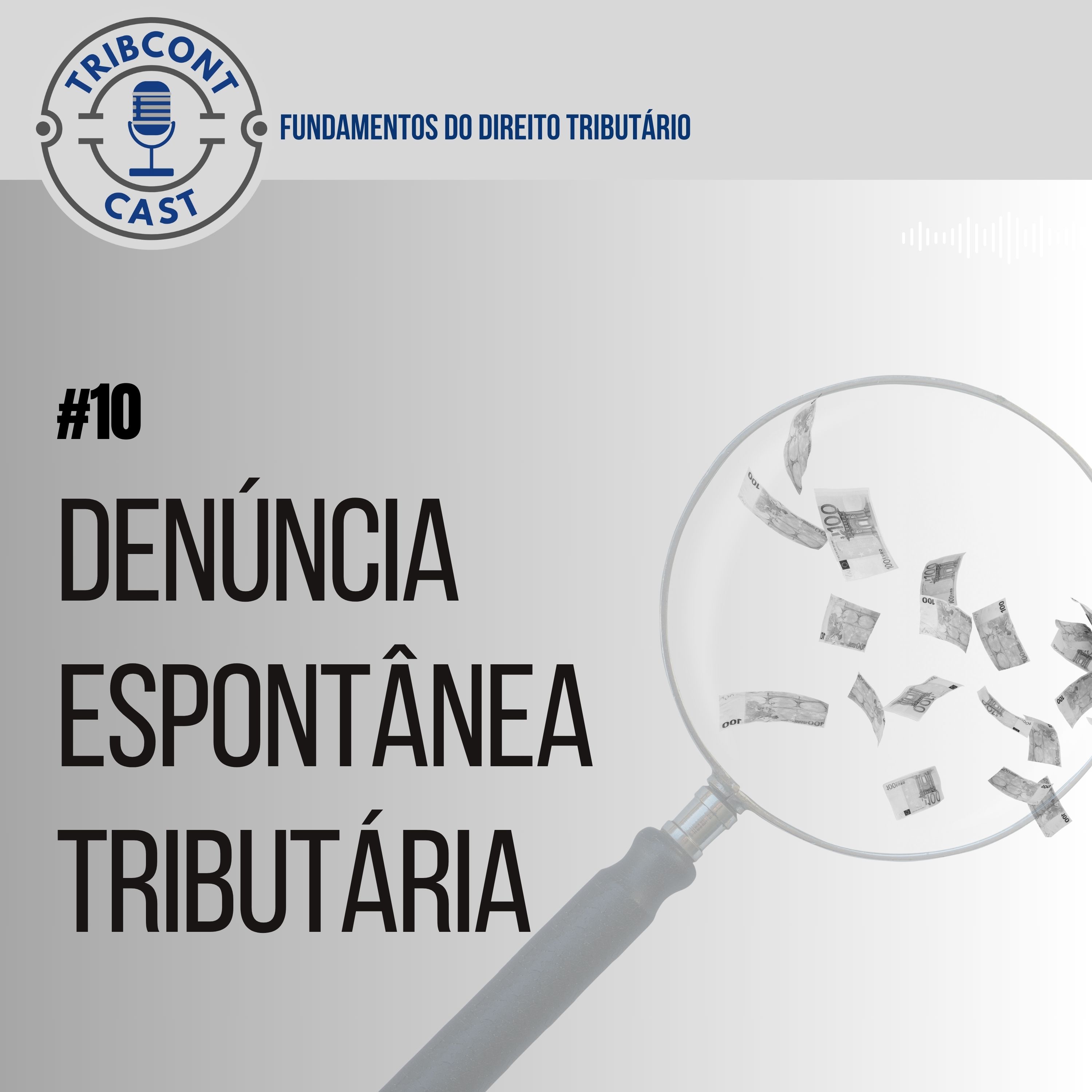 Fundamentos - Denuncia Espontânea.jpg