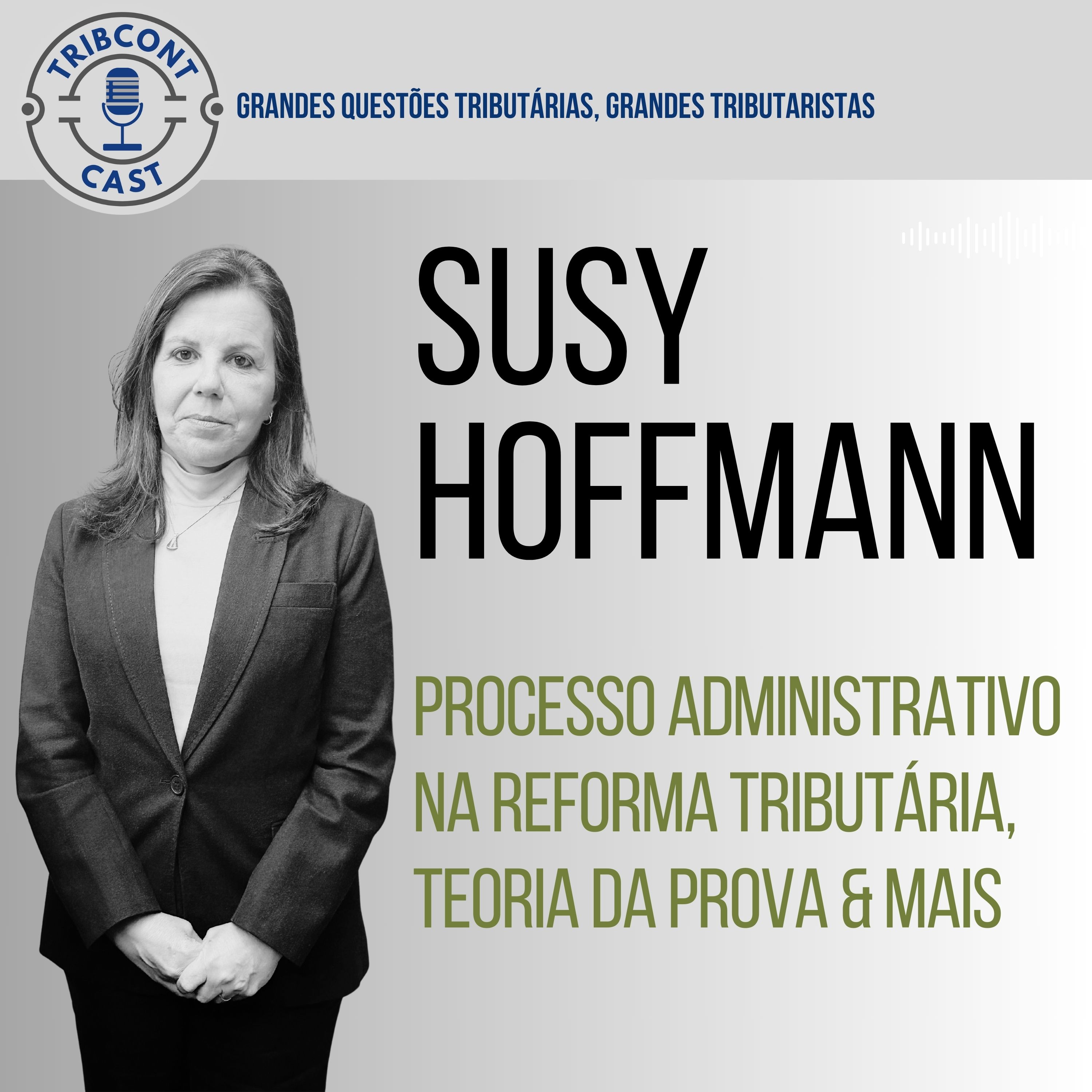 Susy Hoffmann  - Processo Administrativo - Tribcontcast.jpg
