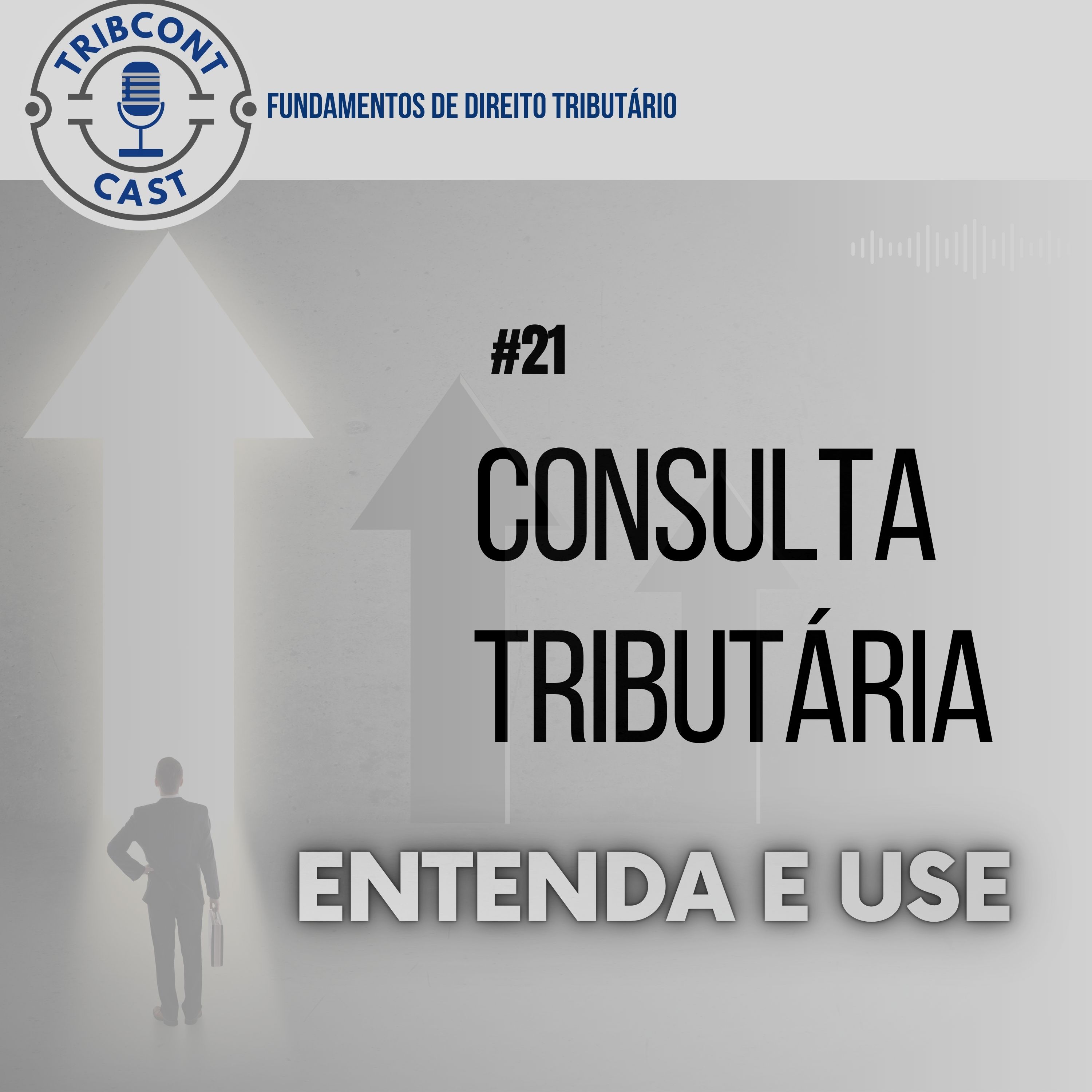 fundamentos - Consulta Tributária - Entenda e Use - Tribcontcast.jpg